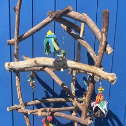 Thick n Curvy Macaw Perch Tree…. A Great Socializer… Fun Time For Mr Gnarly !!