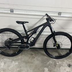 Specialized Stumpjumper Evo Carbon 