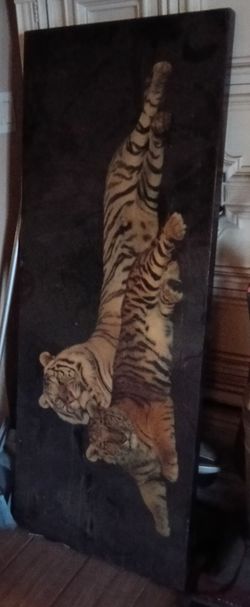 Tiger picture