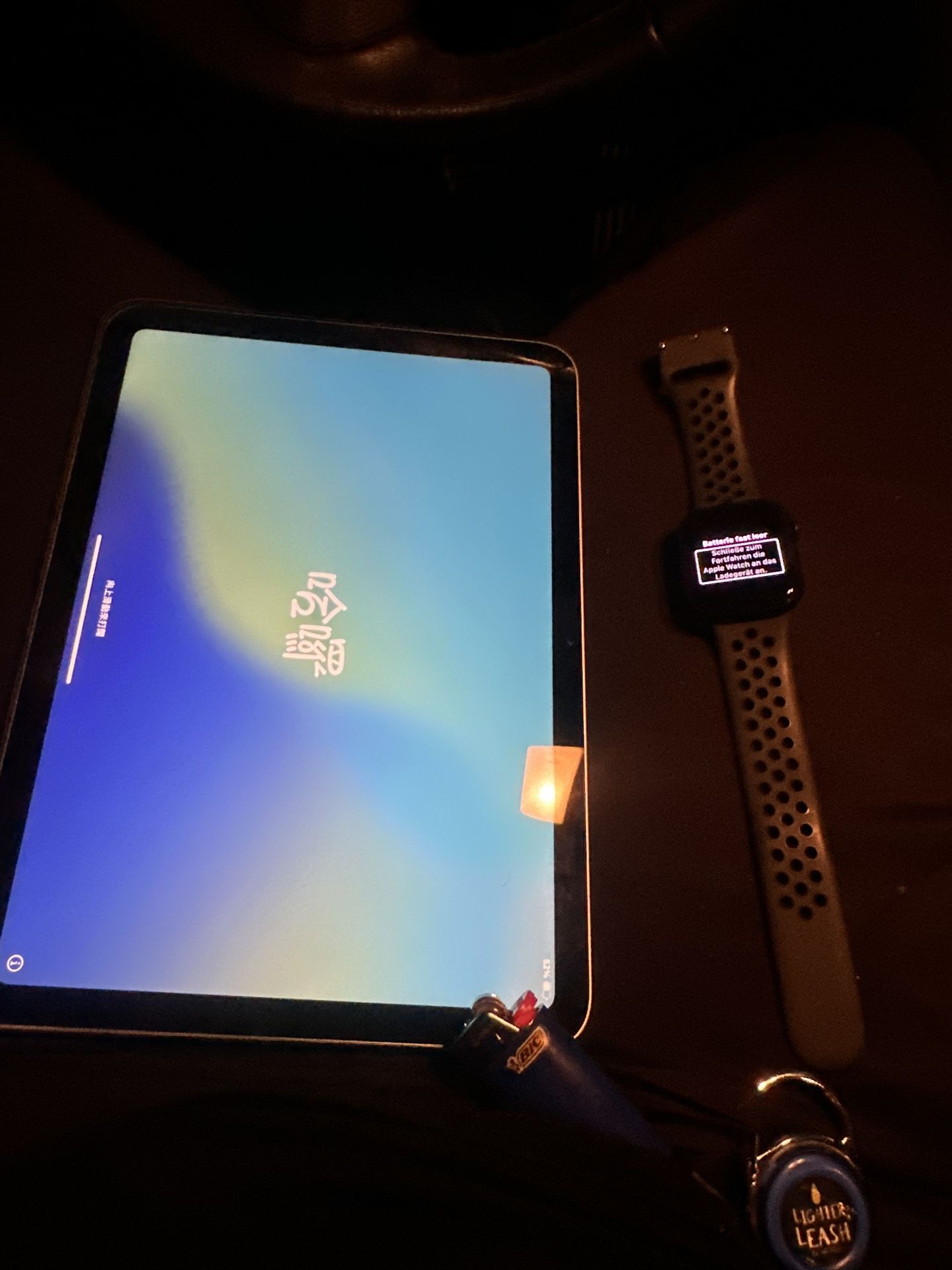 iPad & Apple Watch 