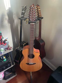 Bredlove AC250/SM-12 Acoustic Guitar