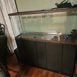 Fish Tank
