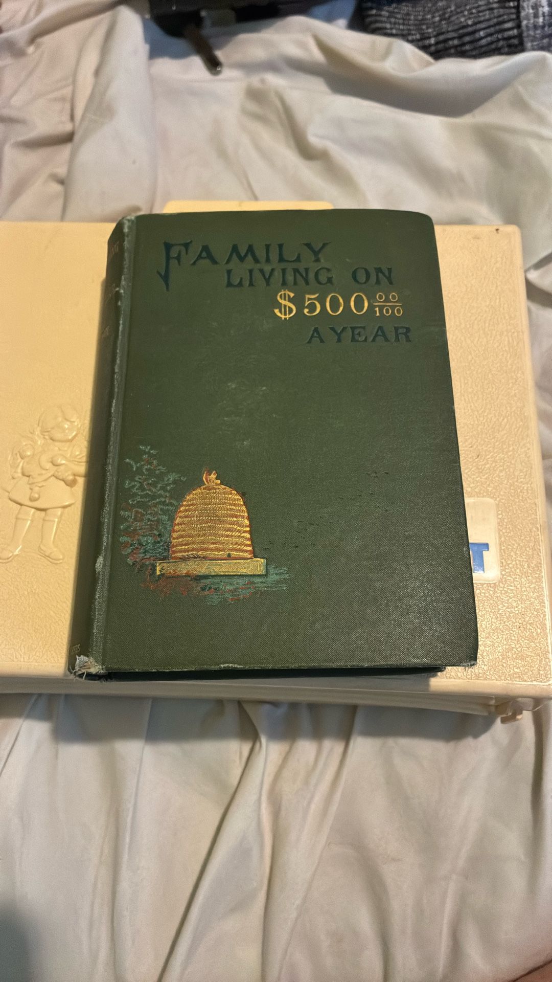 Family Living On $500 A Year - antique book