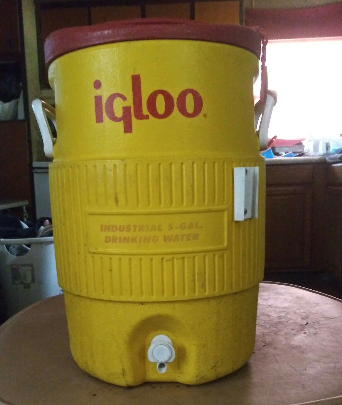 iGloo cooler