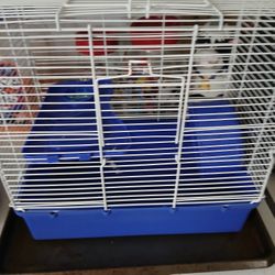 Hamster Cage 