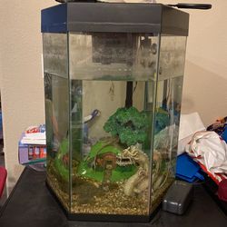 20 Gallon Fish Tank 