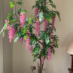 Beautiful Wisteria Tree