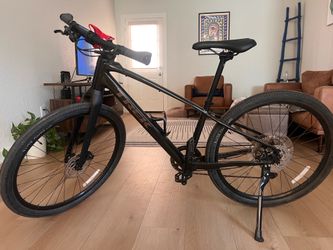 TREK Dual Sport 3