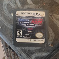 Nintendo Ds Game 
