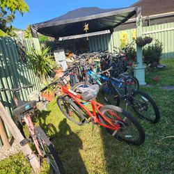 25 Assorted Bikes (All different)
