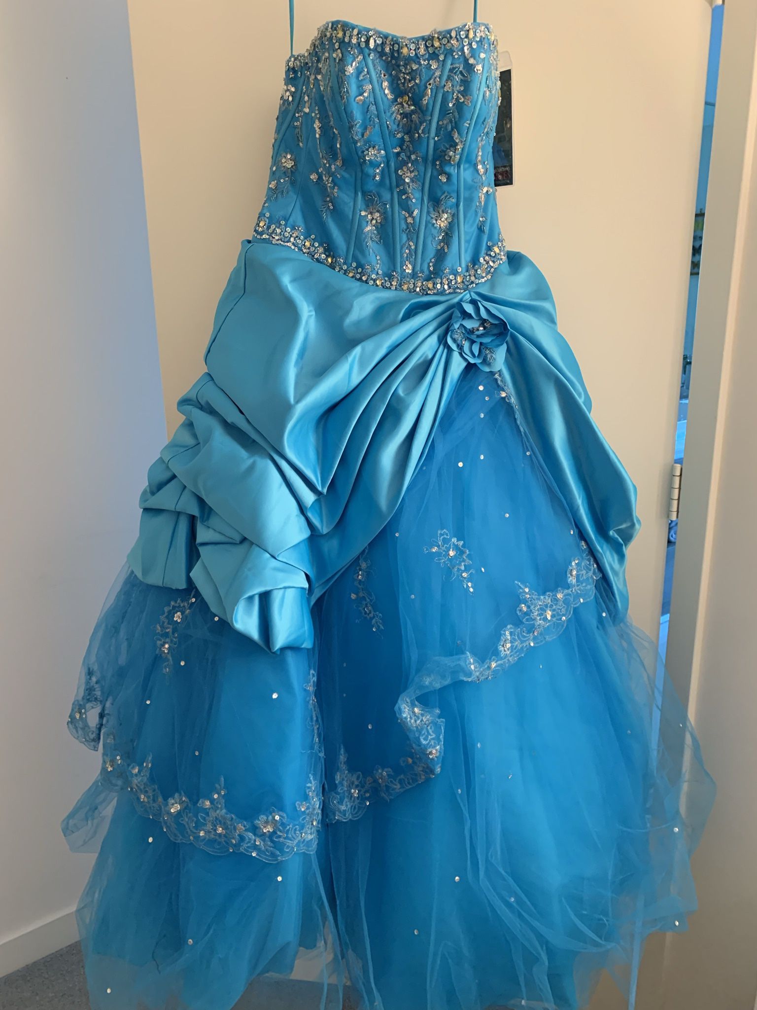 Quinceanera/Prom Dress, Size 6-8