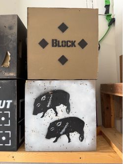 Archery Target Blocks - $50/each one individually