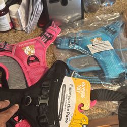 Collares Para Perro Or Pecheras 10 Cada Una