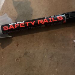 Little Giant ladder, safety rails