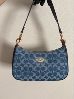Teri purse