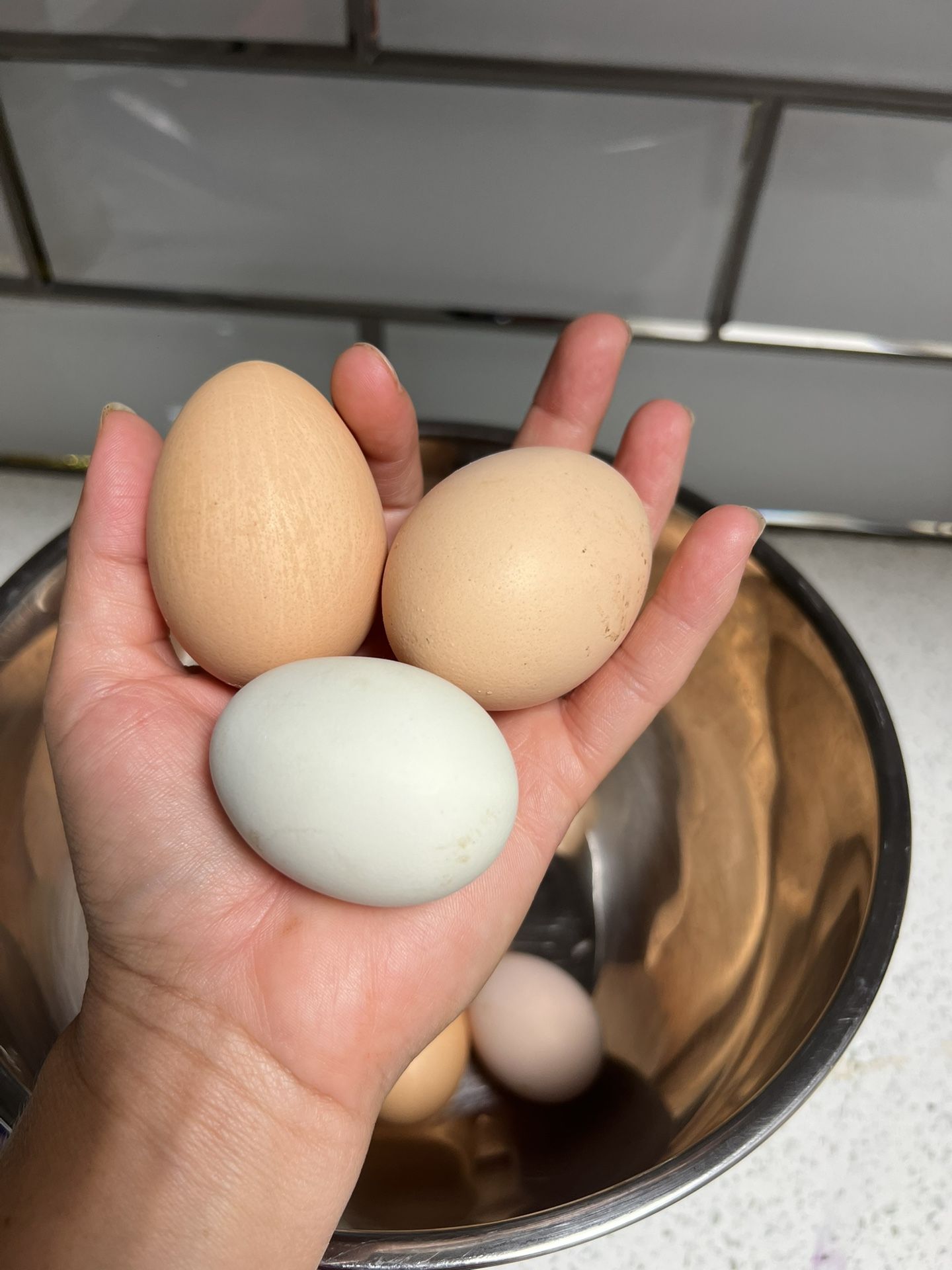 Organic Fresh Eggs