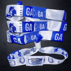 Extra Innings Festival 2-Day GA