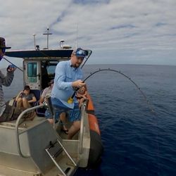 Mahi Live Bait Fishing Charters And Whale Watching 