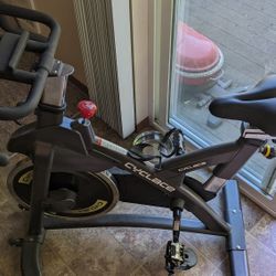Cyclace Stationary Bike for Sale in Everett WA OfferUp