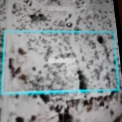 Estoy Vendiendo 2 Acres En Tonopah