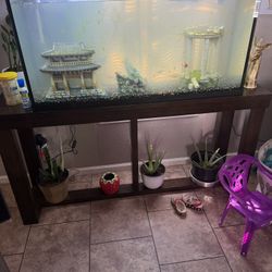 Fish Tank