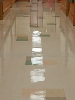 Ecolab Maxx Phazer Durable Floor Finish Kit #21 Cases)