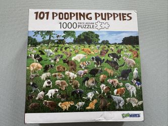 FunWares 1000 piece puzzle *NO MISSING PIECES*