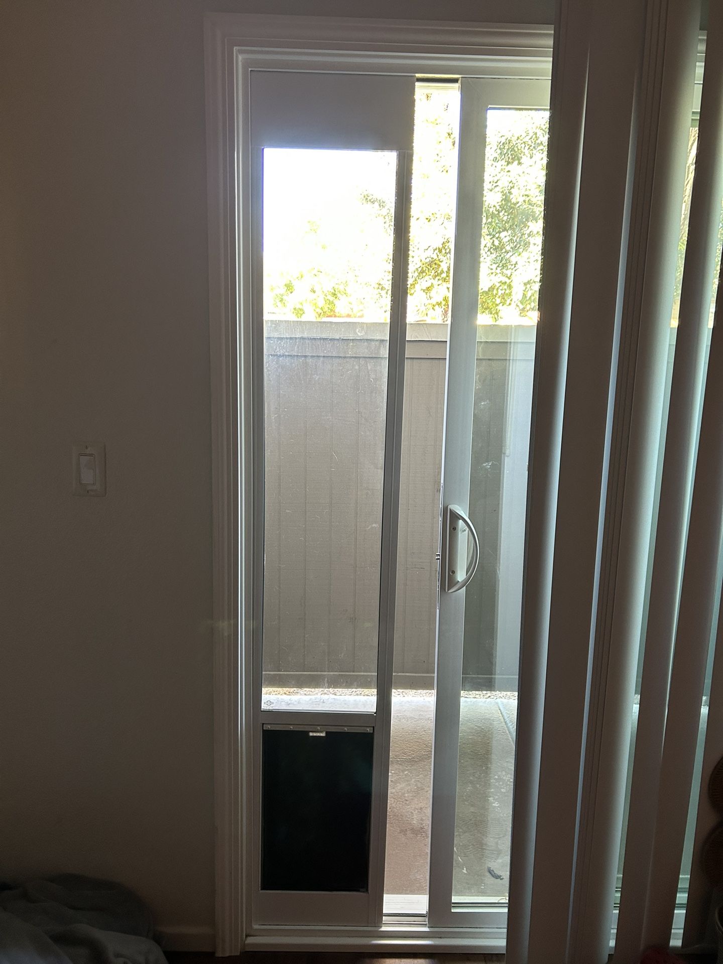 Pet Safe Dog Door