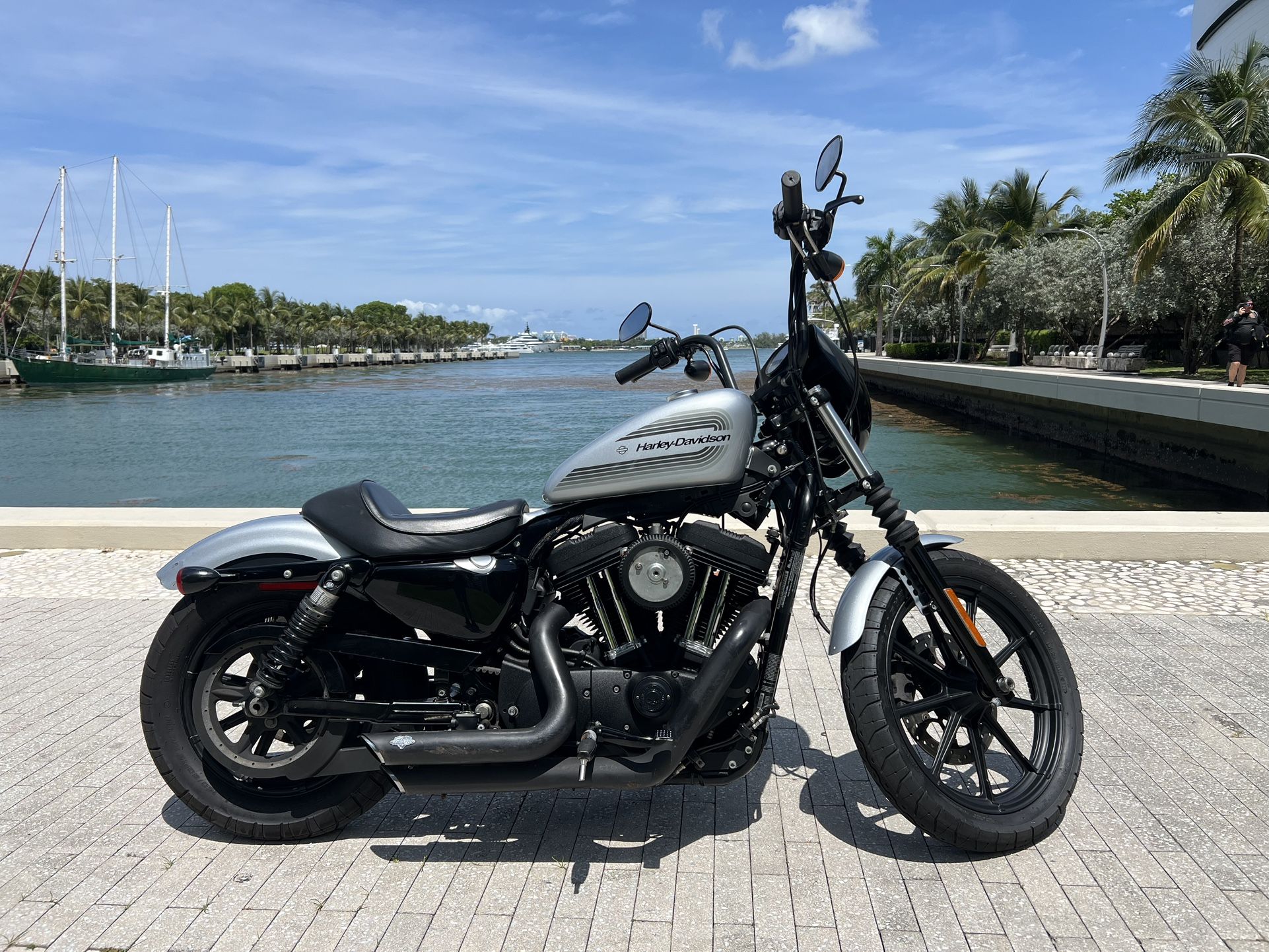 2020 Harley Davidson Sportster 1200 Iron