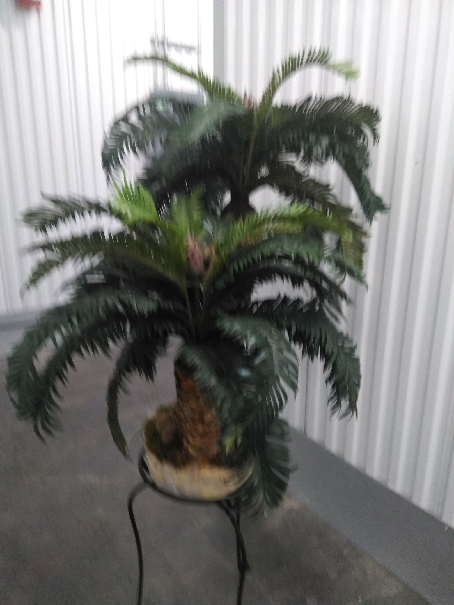 Small fake plant