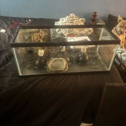 Tank And Heat Lamps