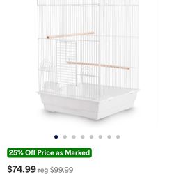 Bird Cage 