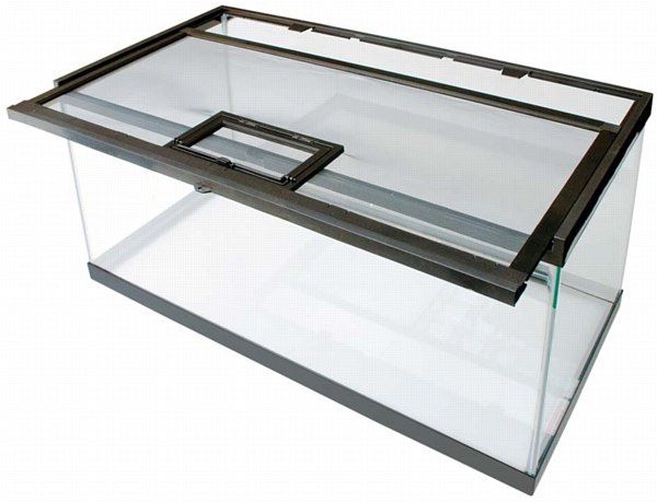 20 Gal LONG Breeder TANK