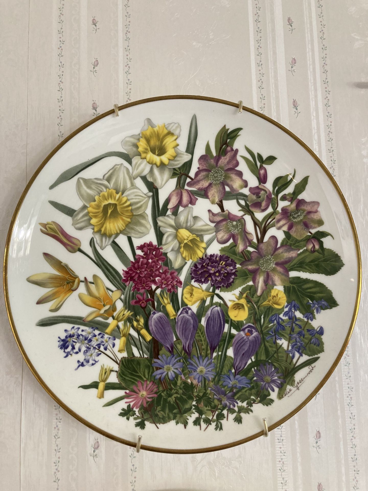 Collectors Decorative Plates