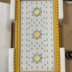 LED Glow Light