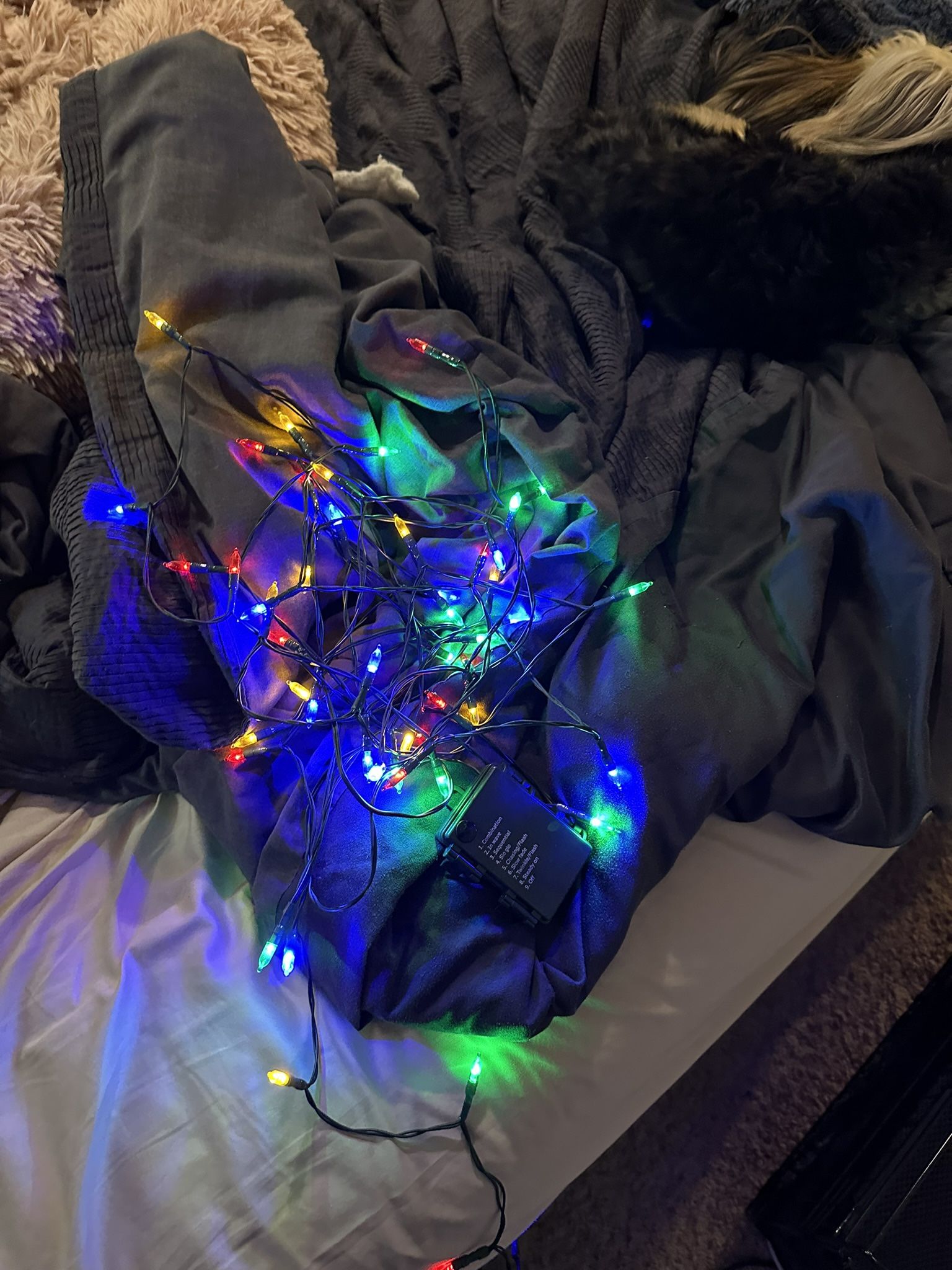 Battery Powered Christmas Lights