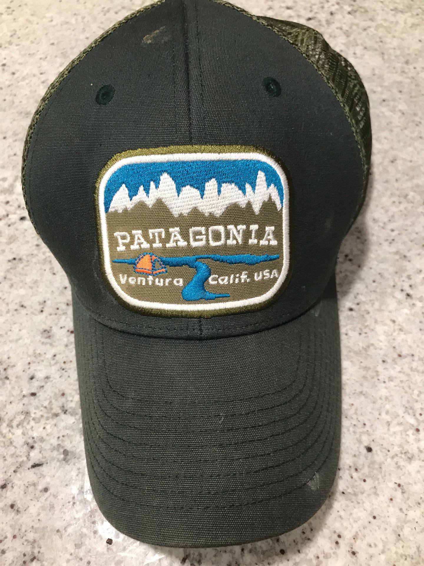 Patagonia truckers hat
