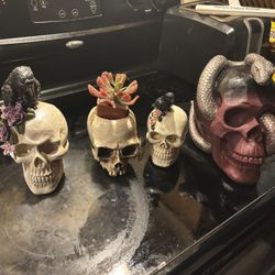 Skull Collection 