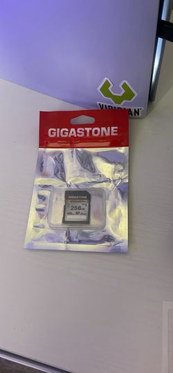 256 GB SD Card Gigastone