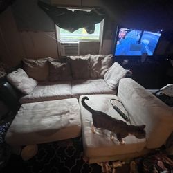 Full Couch Set 