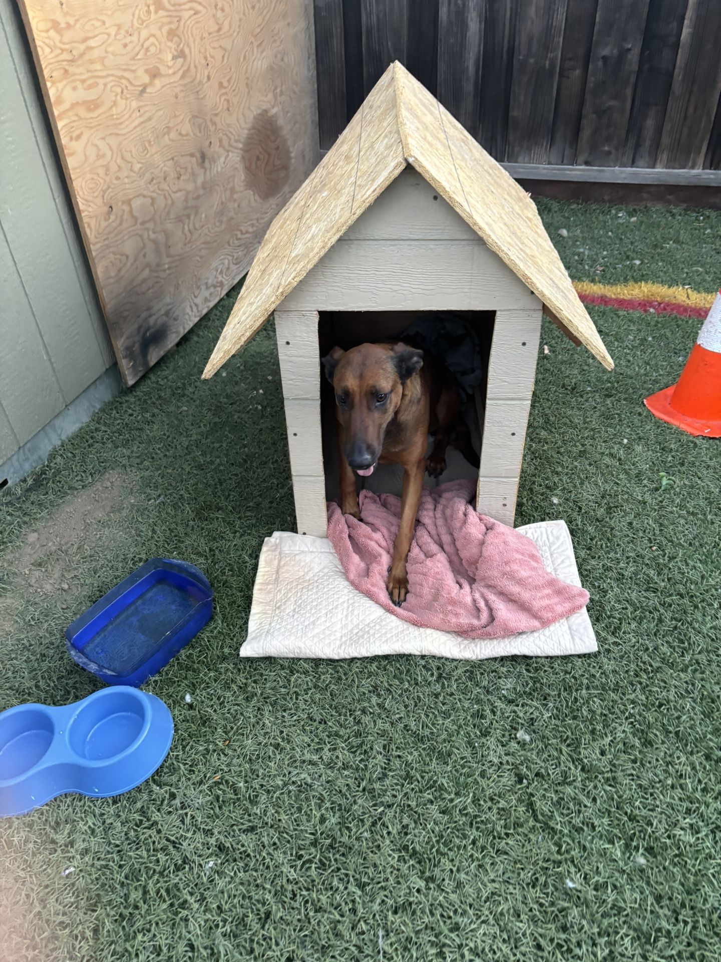 Dog House