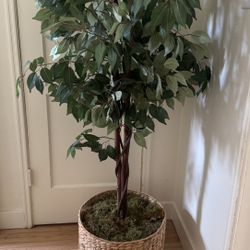 Faux Tree Plant