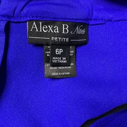 Blue New Dress W/tag