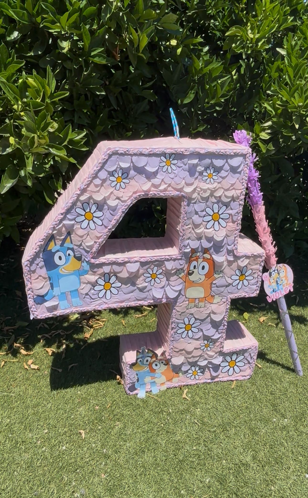 bluey pinata