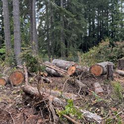 Wood for sale