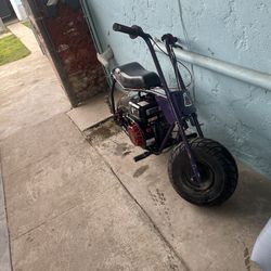 Doodle Bug Mini bike