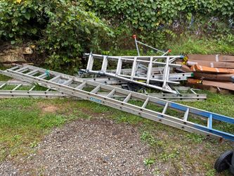 Ladders for sale