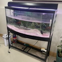 75 Gallon Fish Tank with Stand