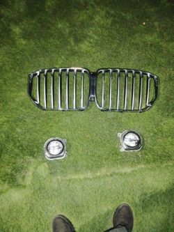 BMW Grill