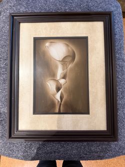 Dark brown frame